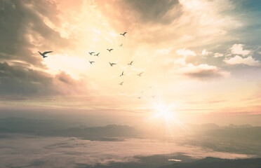 Birds flying over a sea of mist during sunrise on the mountains, conceptual image of freedom, hope, and new beginnings