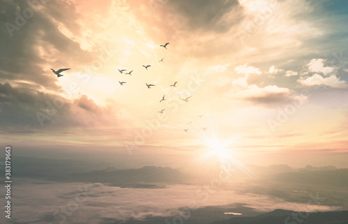 Background of heaven concept: Birds flying with mountain and sky sunrise. Nok Ann cliff, Phu Kradueng National Park, Loei, Thailand, Asia
