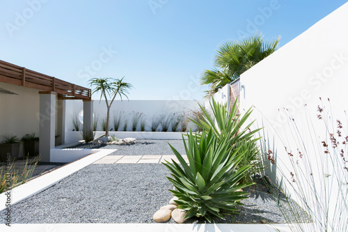 Φωτογραφία Plants growing on sunny modern patio