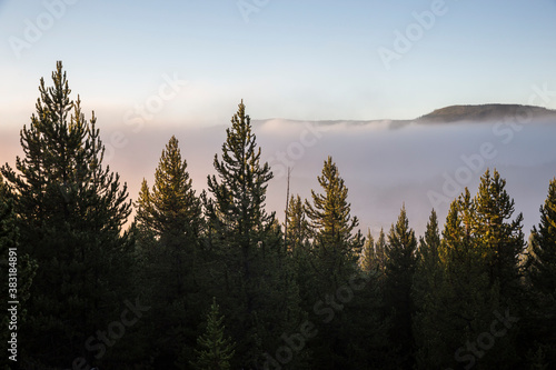 Landscape view of early morning fog/steam in Yellowstone National Park (Wyoming). © Patrick
