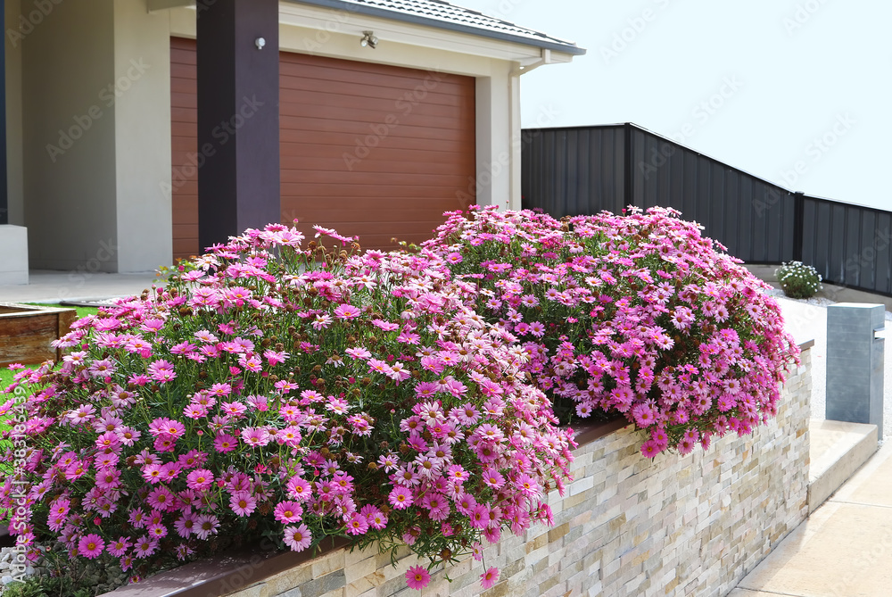 Stone cladding rock panels Front Yard Design