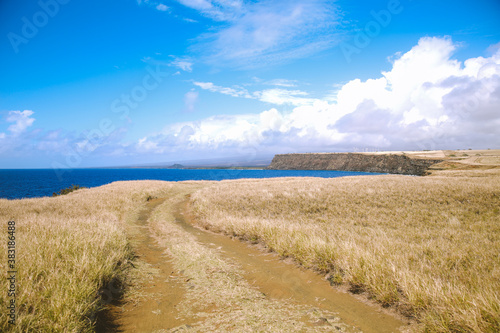 South Point Park  hawaii