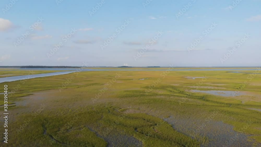 Aerial View of Marshland in South Georgia with Sidney Lanier Bridge in Background Aerial View of Marshland in South Georgia with Sidney Lanier Bridge in Background