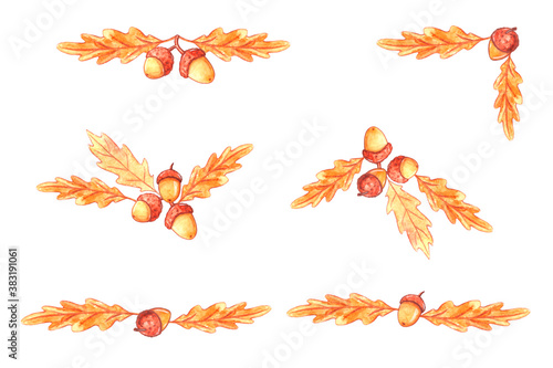 Natural design collection - watercolor elements made of acorns  oak leaves. Autumn forest decoration. Happy fall
