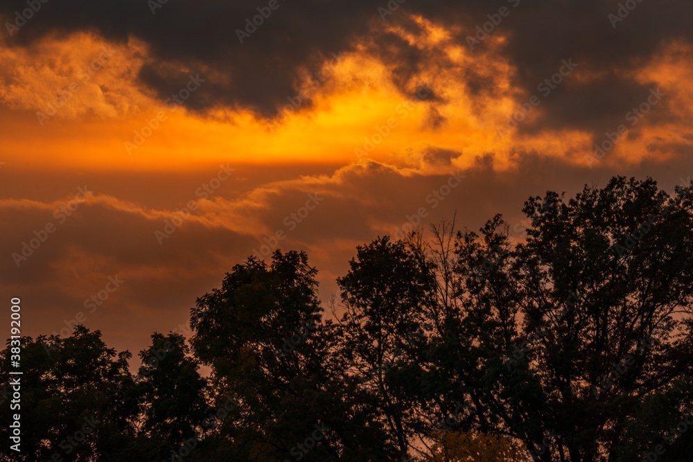 This idyllic image shows a warm glowing sunset sky over tree silhouettes.