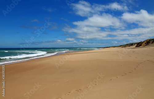 On Woolamai Beach - Phillip Island  Victoria  Australia