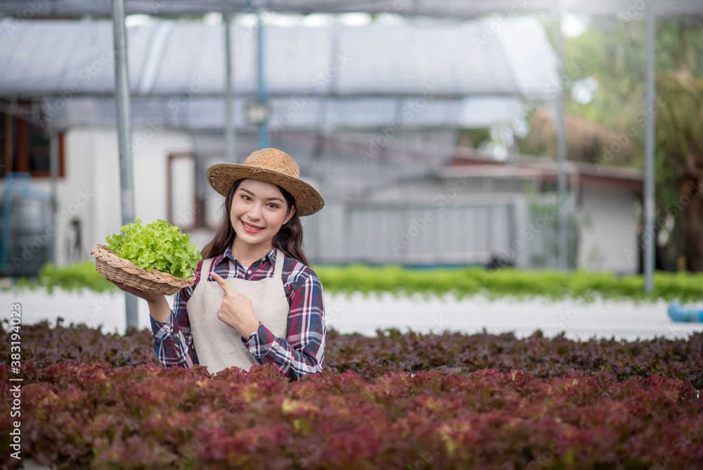 Hydroponics vegetable farm. Smiling Asian woman studying, examining and researching vegetables from a hydroponic farm.  Concept of growing organic vegetables and health food.