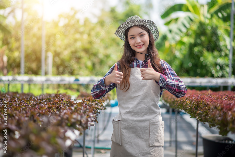 Hydroponics vegetable farm. Young asian woman showing thumbs up from her hydroponics farm. Concept of growing organic vegetables and health food.