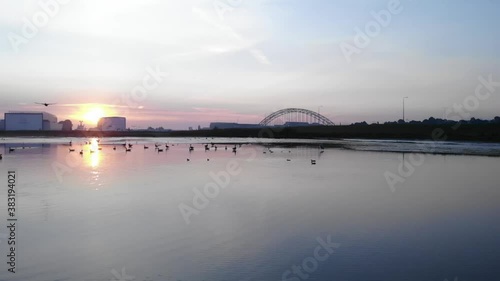 Birds resting and flying over a lake with city skyline in the background photo