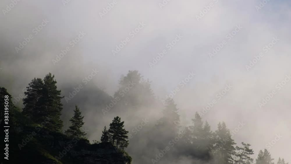 Morning fog in the mountains near the Altai village of Manzherok. Mist in pine mountain forest. Altai, Russia Morning fog in the mountains near the Altai village of Manzherok. Mist in pine mountain forest. Altai, Russia
