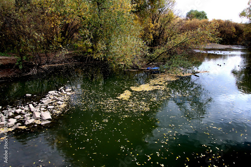 lake in the park