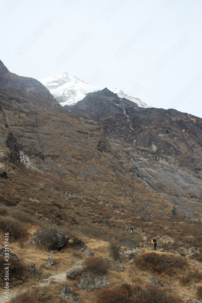Langtang Valley with Pemthang Karpo Ri and Langshisa Ri, Nepal, Langtang Himal