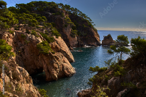 Rocky coast landscape, with cliffs crowned by pine forest, ending in a calm blue sea
