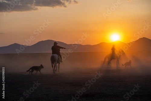 Wild horses run in foggy at sunset. Between Cappadocia and Kayseri  Turkey