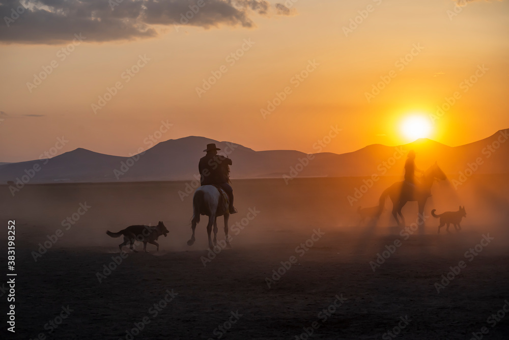 Wild horses run in foggy at sunset. Between Cappadocia and Kayseri, Turkey Wild horses run in foggy at sunset. Between Cappadocia and Kayseri, Turkey