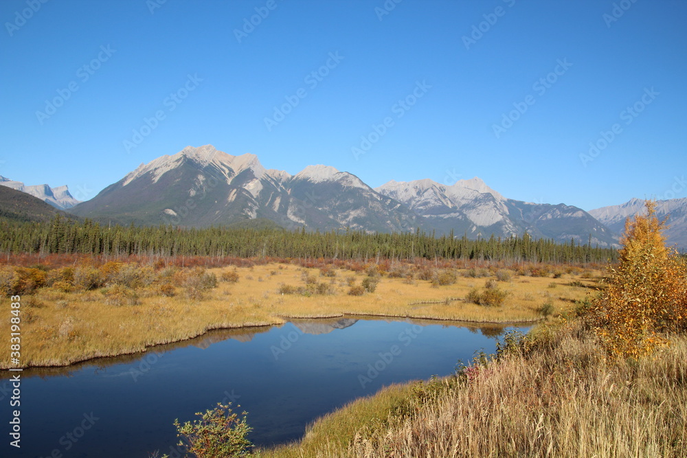 October In The Wetlands, Jasper National Park, Alberta
