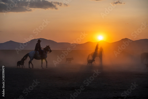 Wild horses run in foggy at sunset. Between Cappadocia and Kayseri  Turkey