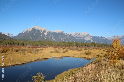 October In The Wetlands, Jasper National Park, Alberta