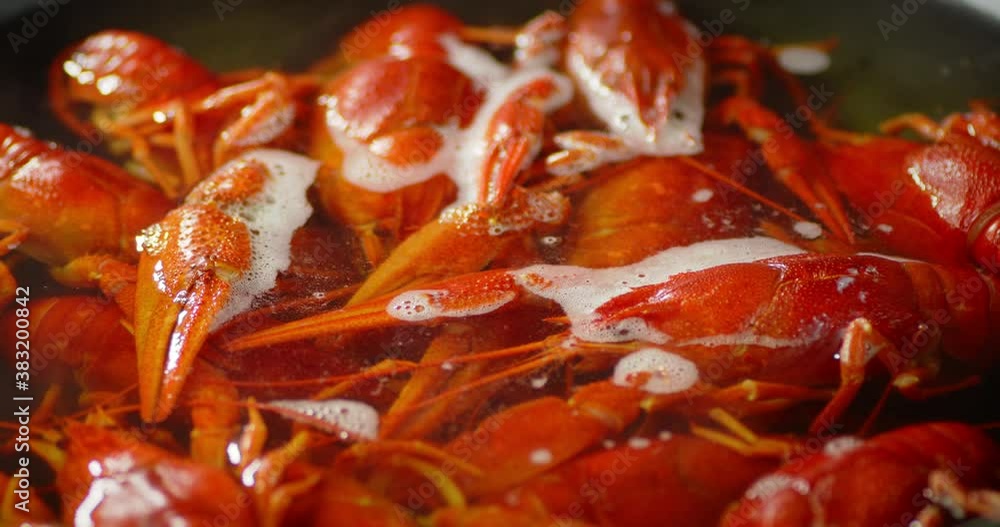 Red crayfish in boiling water in a saucepan rotate. Red crayfish in boiling water in a saucepan rotate.