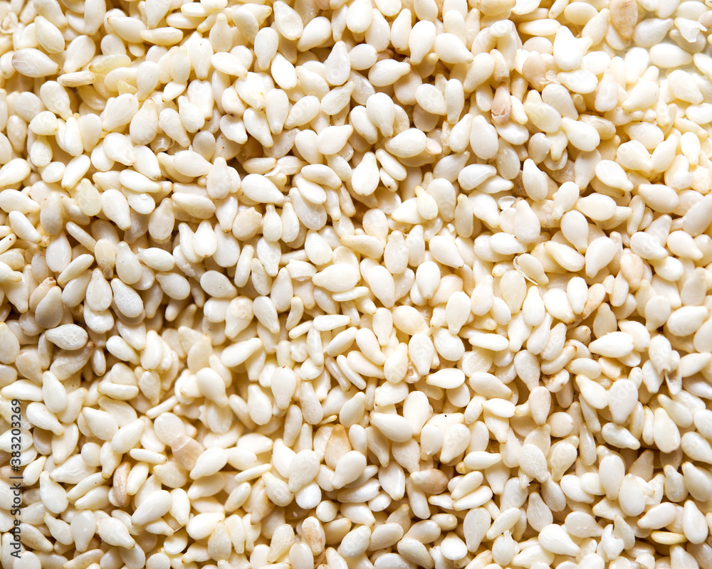 Sesame Sesame