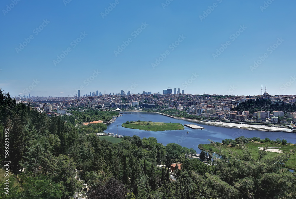 Panorama of Istanbul from above. In the foreground there are green trees. You can see the Golden Horn Bay, many city buildings. Summer sunny day. Turkey.