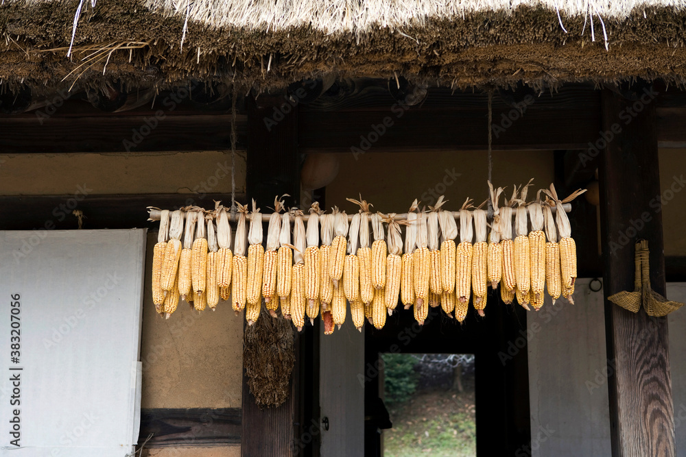 Korean traditional architecture, corns hung under the eaves Korean traditional architecture, corns hung under the eaves
