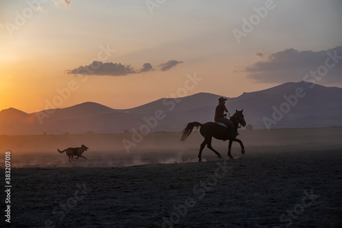 Wild horses run in foggy at sunset. Between Cappadocia and Kayseri  Turkey