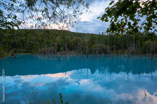 美瑛の青い池