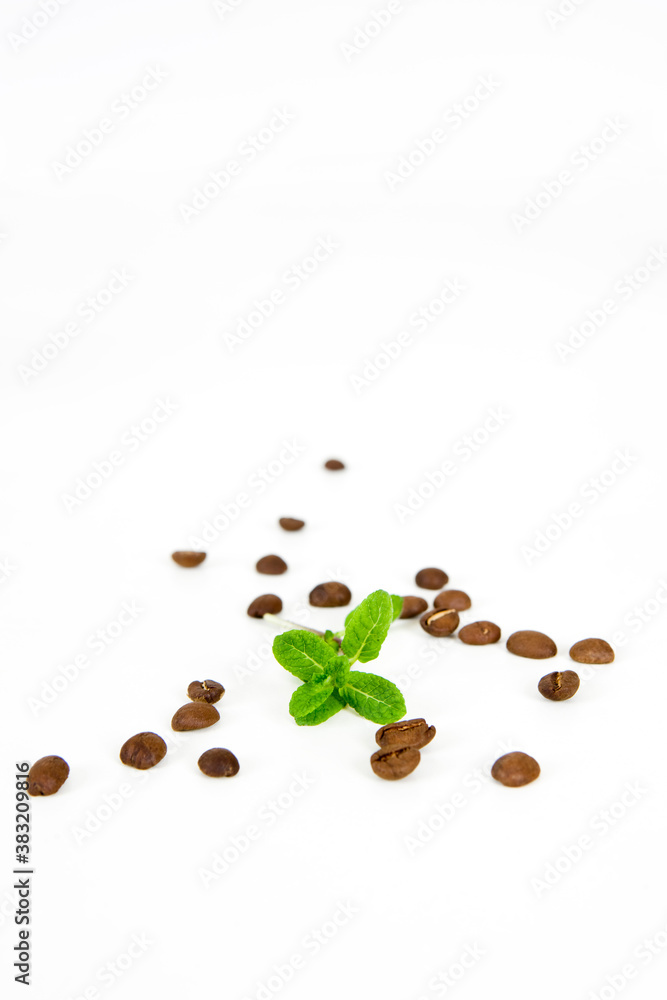 Naklejka premium coffee beans and herb