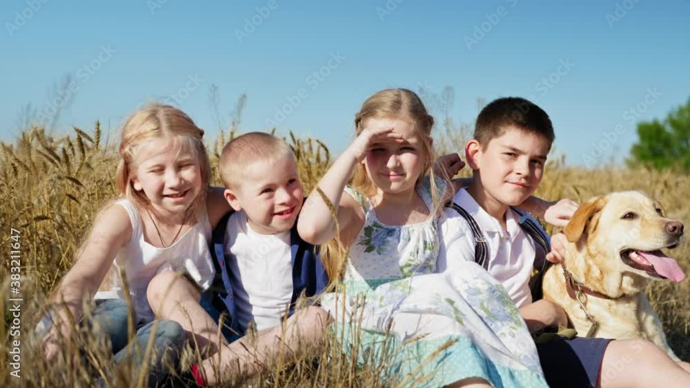 portrait of happy friends sitting with dog in a wheat field on the background of beautiful blue sky, healthy children and boy with down syndrome outdoors portrait of happy friends sitting with dog in a wheat field on the background of beautiful blue sky, healthy children and boy with down syndrome outdoors