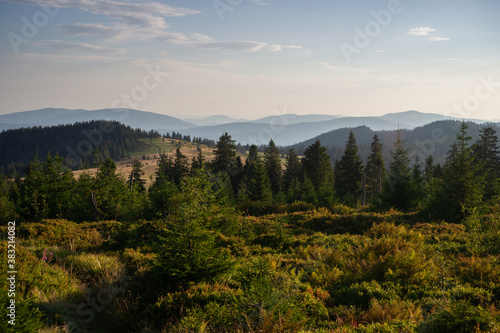 Fototapeta Naklejka Na Ścianę i Meble -  Gorce, widok z Turbacza