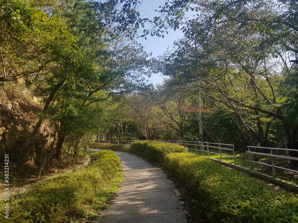 한국 울산 동구 동해안로 산책길
Donghaean-ro promenade in Dong-gu, Ulsan, Korea 한국 울산 동구 동해안로 산책길
Donghaean-ro promenade in Dong-gu, Ulsan, Korea