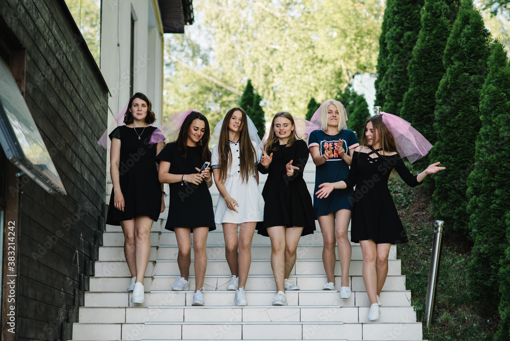 Beautiful sexy young girls in dress and veil on bachelor party Bride and  bridesmaids walking outdoors and celebrating bachelorette party Maiden  evening Henparties Place for text Stock Photo  Adobe Stock