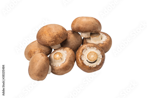 Tasty mushroom isolated on white background.