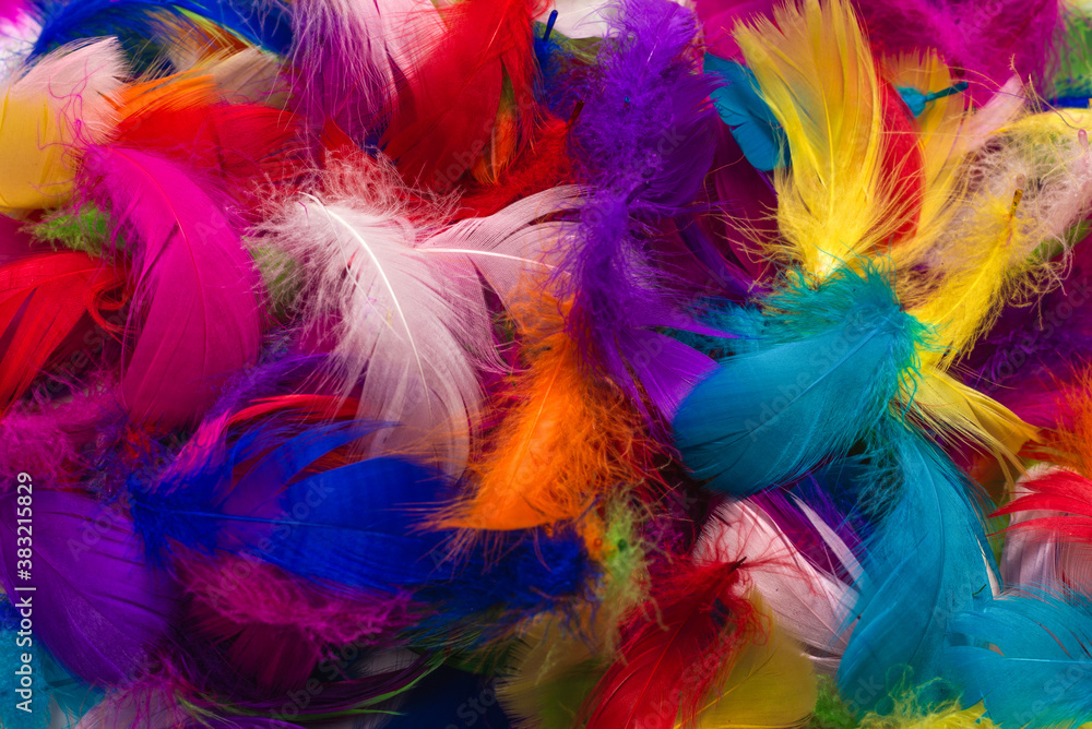 Colorful feather background. Colorful feather background.