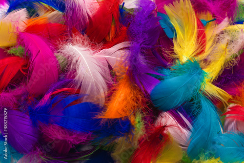 Colorful feather background.