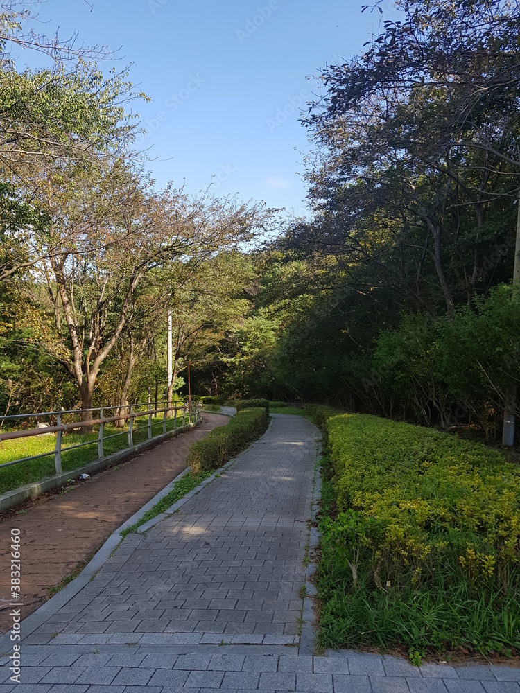 한국 울산 동구 동해안로 산책길
Donghaean-ro promenade in Dong-gu, Ulsan, Korea