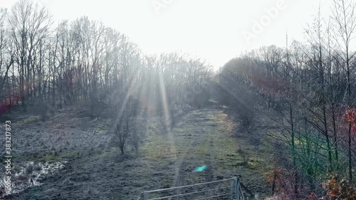 Evening in the forest with Fence and path. Gloomy and sunny wood view for sureal video ideas. Drone view