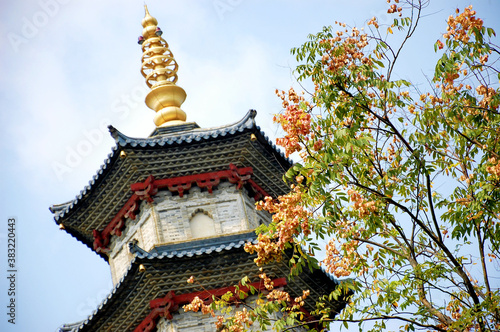 Wallpaper Mural Tower of a Chinese temple / Pagoda with a golden spire, tree with leaves and flowers in the foreground, Splendid China Folk Village, Shenzhen, China Torontodigital.ca