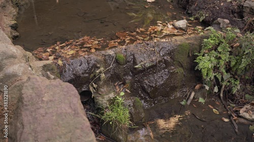 Wallpaper Mural Water gently dripping down the front of some rocks in a creek with leaves Torontodigital.ca