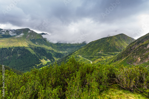 green shrubs on the mountains while hiking