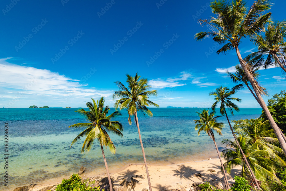 Fototapeta premium beach on Koh Samui in Thailand, paradise, sunny beach, coconuts and palm trees, sunbathing and swimming in the sea, blue ocean and sky, travel to the resort, relaxation and enjoyment