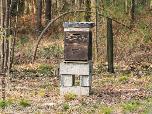 Beehive with bees in an apiary in the forest, horizontal photo