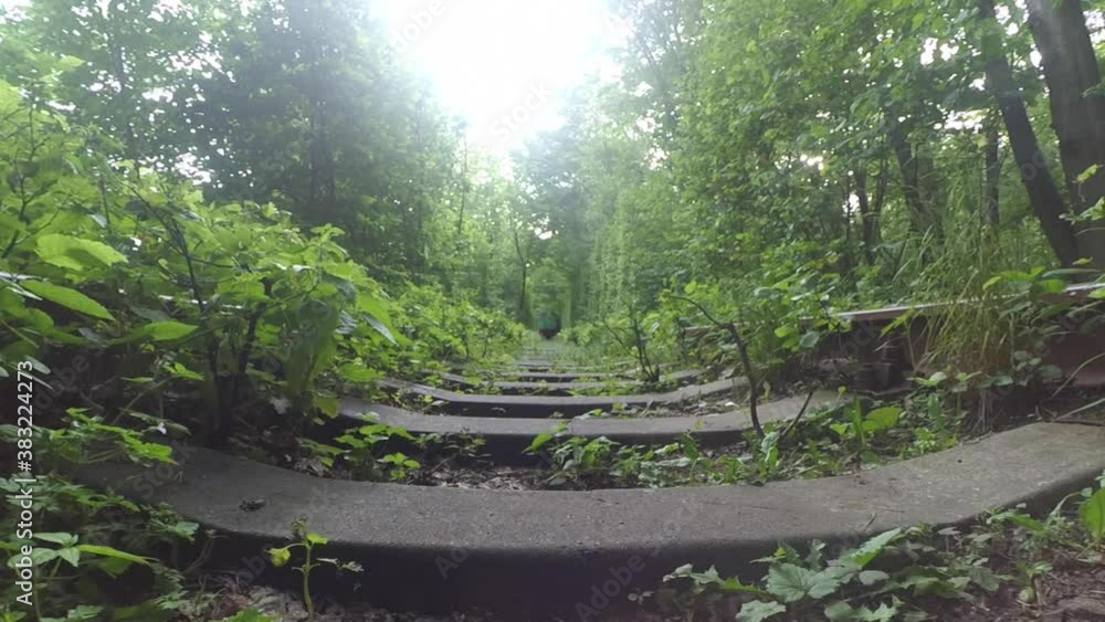The Train is coming at Love tunnel Ukraine The Train is coming at Love tunnel Ukraine