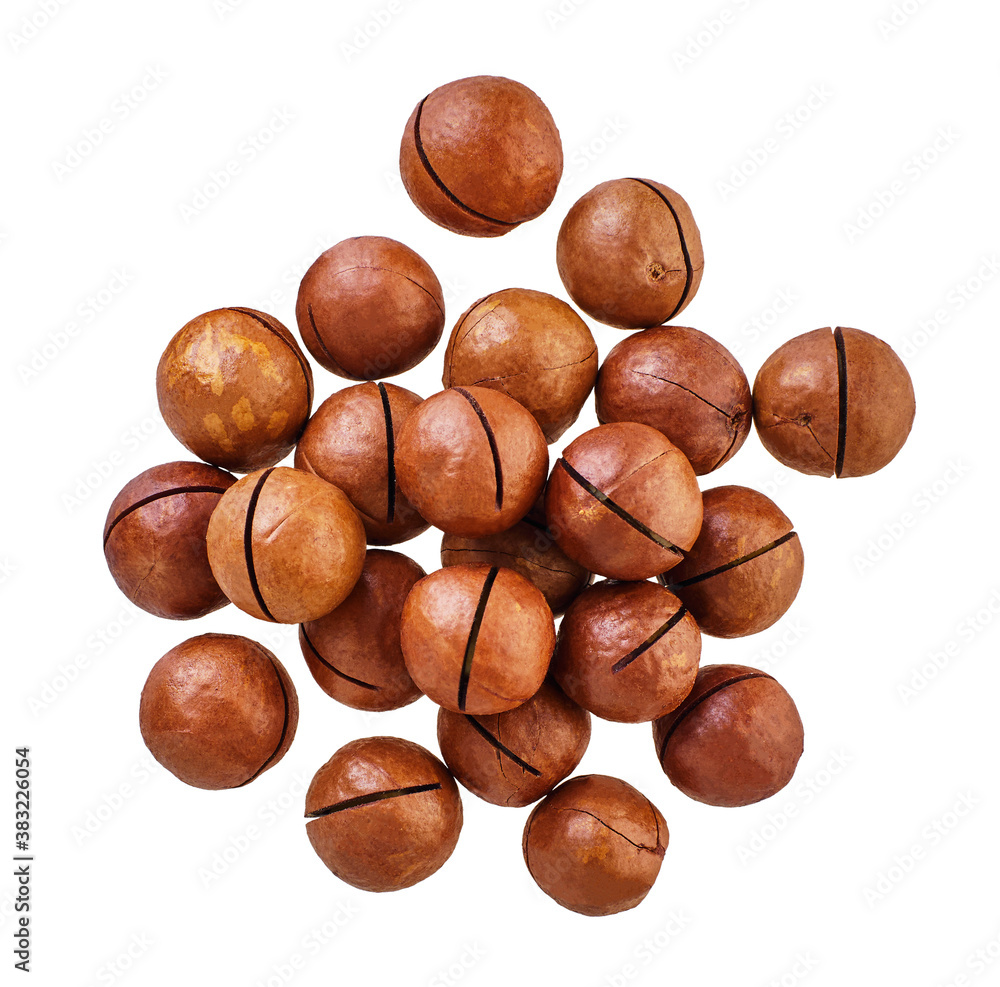 heap of macadam nuts with clipping path heap of macadam nuts with clipping path