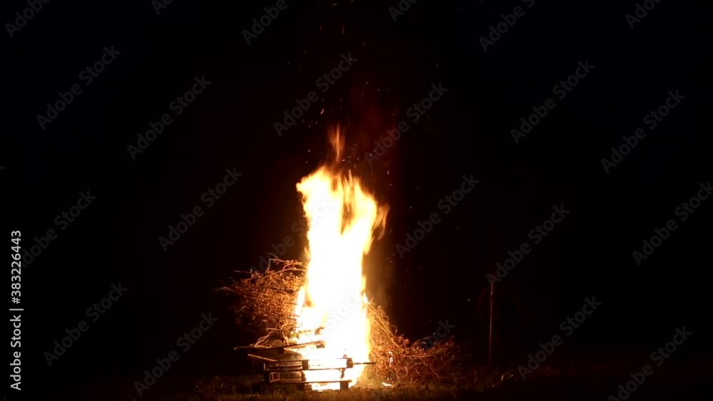 a man throws branches into a large fire at night. Bonfire flames on black background a man throws branches into a large fire at night. Bonfire flames on black background