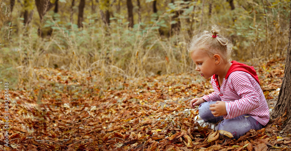 Happy cute ay girl 3 years old, playing with leaves outdoors. Autumn portrait of a beautiful child. Moments of childhood. Free space for your text. Happy cute ay girl 3 years old, playing with leaves outdoors. Autumn portrait of a beautiful child. Moments of childhood. Free space for your text.