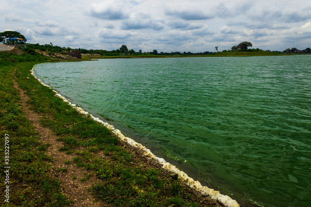 beautiful landscape, dirty green lake water with white soap foam
