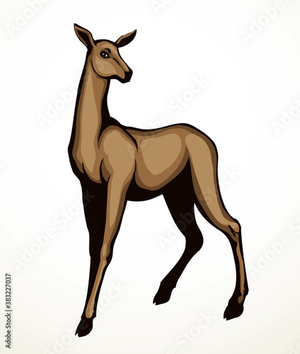 Beautiful female deer. Vector drawing