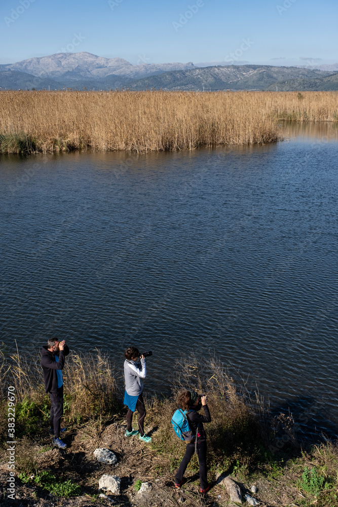 Amarador, albufera de mallorca, Mallorca, Balearic Islands, Spain Amarador, albufera de mallorca, Mallorca, Balearic Islands, Spain